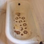 bathtub restoration and repair